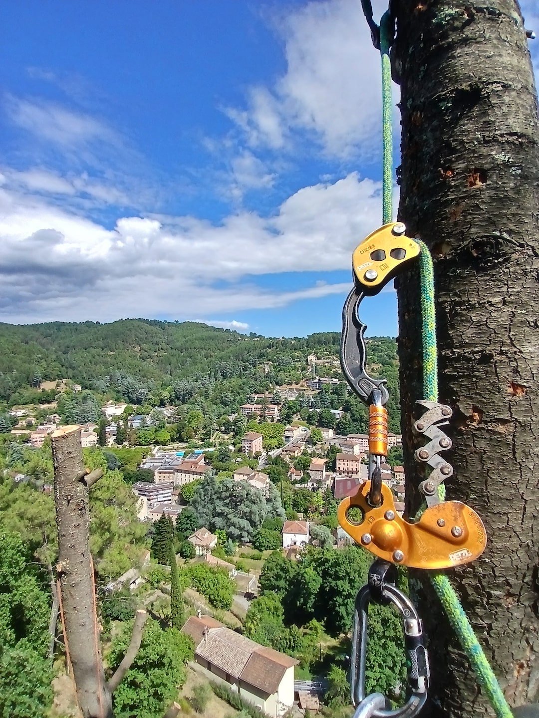 abattage-arbre-ardeche Abattage d'arbre en Ardèche