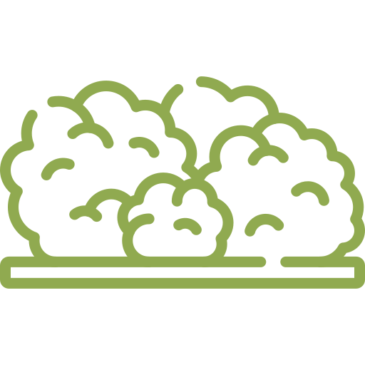 Débroussaillage en Ardèche